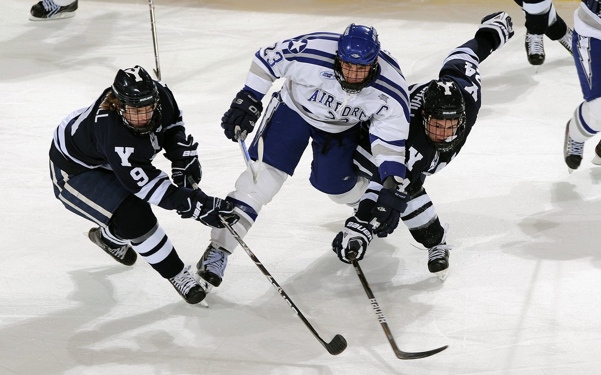 英格兰女队成绩飞速上升，粉丝数量剧增，英格兰队颜值